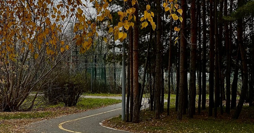 Найтепліший день осені: українців порадували прогнозом погоди на 8 жовтня