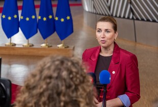 Данія відреагувала на переговори Стубба і Стере з Путіним: Це їх власна ініціатива, не скоординована ні з ким з нас