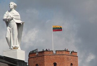 Литва передасть Україні медикаменти і медичне обладнання на понад €84 000