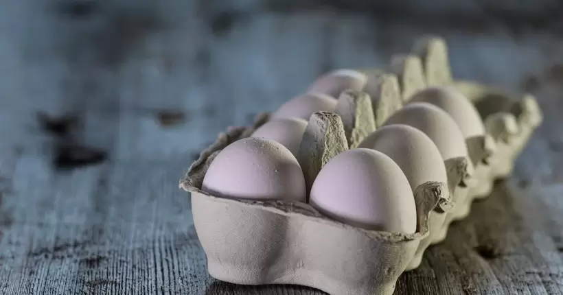 S, M, L та XL: в Україні яйця продаватимуть по-новому