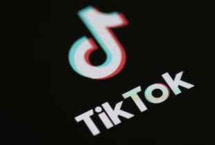 У Франції чиновникам заборонили користуватися TikTok та Netflix: подробиці