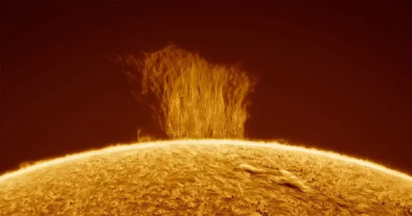 На Сонці стався плазмовий водоспад, що у вісім разів більше діаметра Землі (фото)