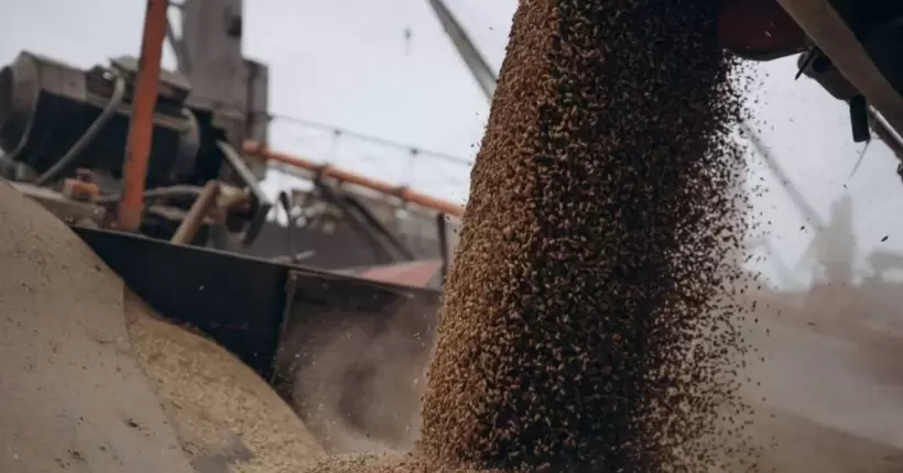 ЄК виділить €100 млн аграріям з п'яти країн, які постраждали від імпорту українського зерна
