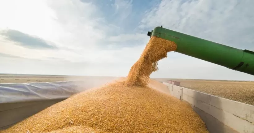 Якість українського зерна є орієнтиром для інших країн, - Сольський