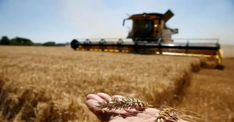 Євросоюз готує екстрені обмеження на імпорт українського зерна, - ЗМІ