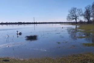 Повінь іде на спад: за добу рівень води в підтоплених регіонах України суттєво знизився