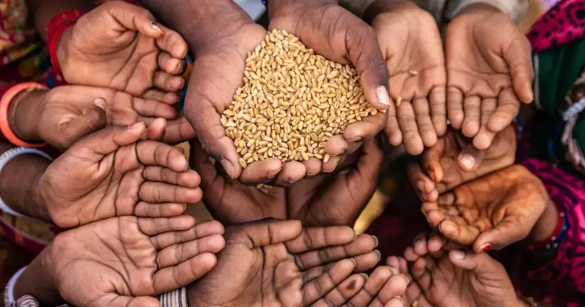 Понад чверть мільярда людей у світі зіткнулися з гострою нестачею продовольства у 2022 році