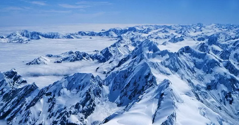 Танення льодовиків в Альпах загрожує життєво важливим для місцевих екосистем тваринам
