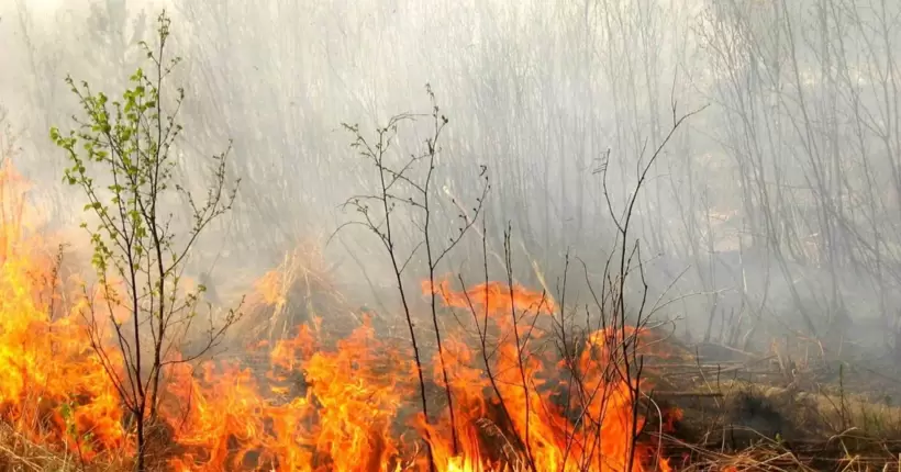 У Києві 9-11 травня очікується надзвичайний рівень пожежної небезпеки,– Укргідрометцентр