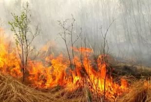 У Києві 9-11 травня очікується надзвичайний рівень пожежної небезпеки,– Укргідрометцентр