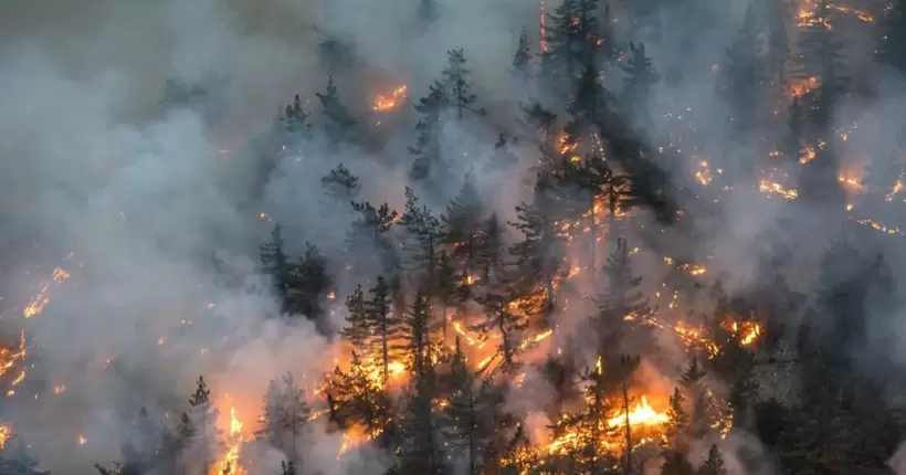 У Канаді через лісові пожежі евакуювали майже 30 000 осіб