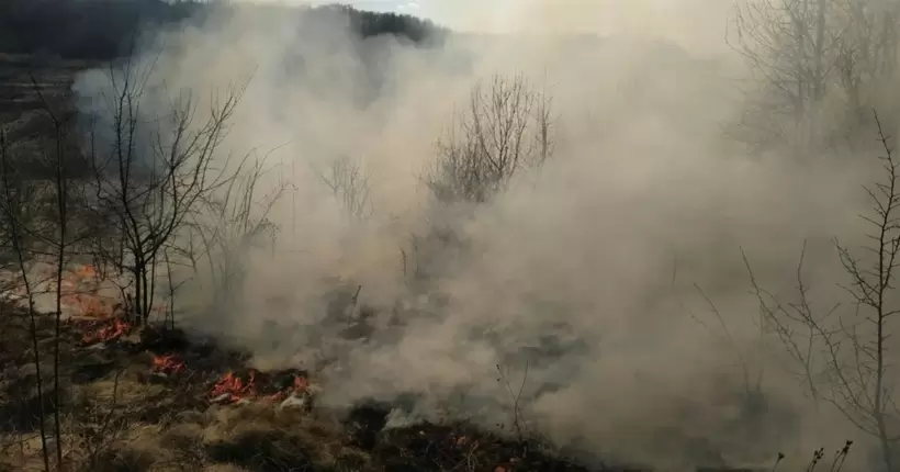 В Естонії спалахнула масштабна пожежа на військовому полігоні