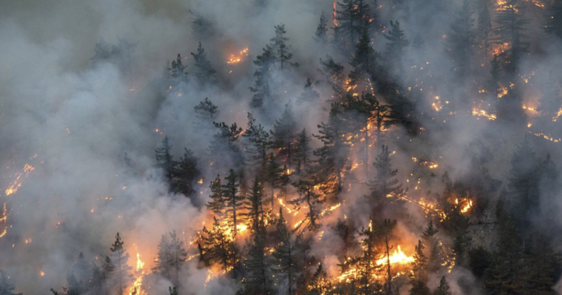 Захід Іспанії охопили лісові пожежі: місцева влада говорить про підпал