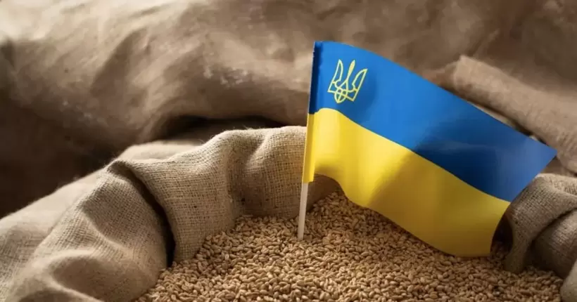 ЄК продовжила заборону на імпорт пшениці, кукурудзи, ріпаку та соняшнику з України, - ЗМІ