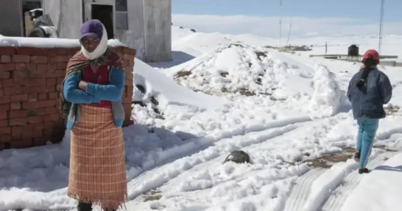 Знищені врожаї та загибла худоба: у Болівію неочікувано прийшли морози та снігопад