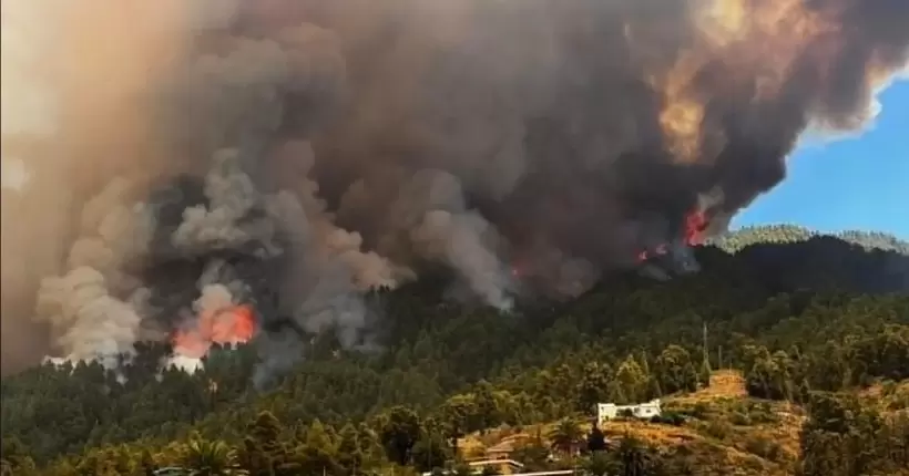Лісові пожежі на Канарах: на острові Ла-Пальма вогонь вийшов з-під контролю (ВІДЕО)