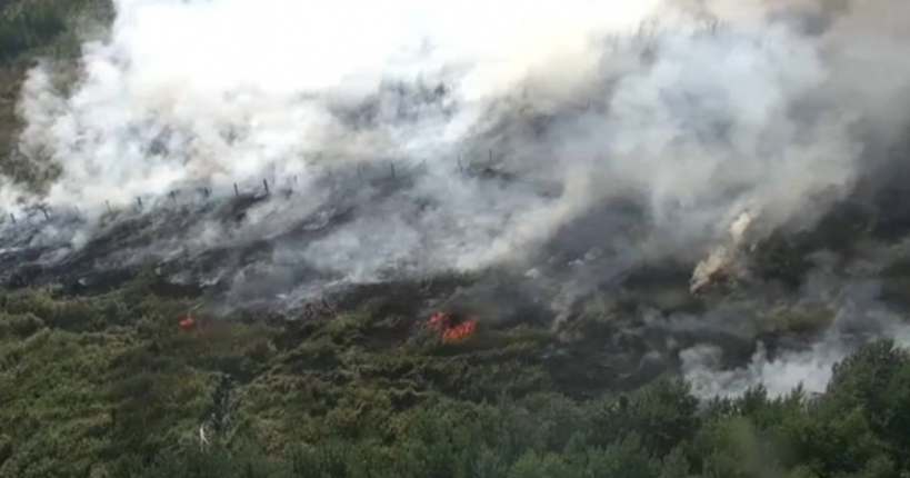 Чехію охопила масштабна лісова пожежа: вогонь вже поширився на 40 га
