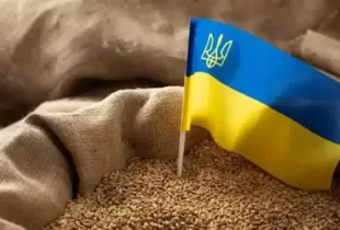 У росії заявили про припинення дії 