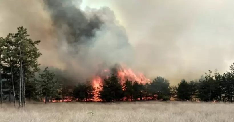 На півдні Греції спалахнула величезна пожежа