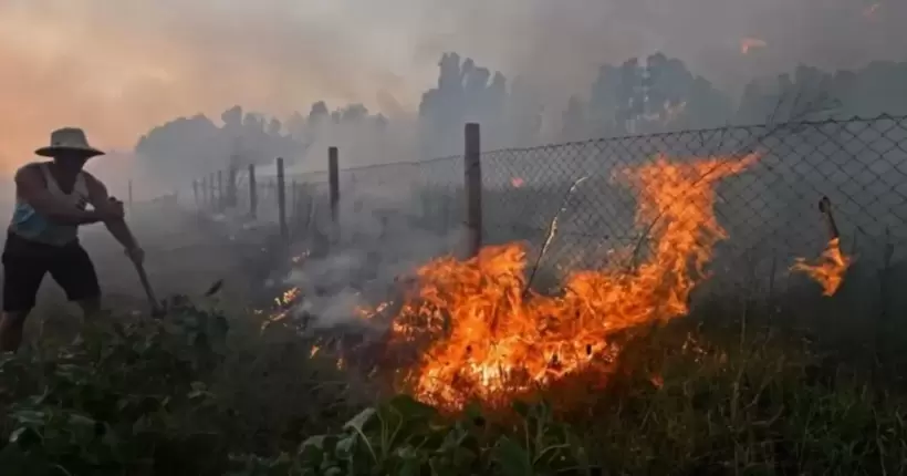 Через лісові пожежі в Алжирі загинуло вже понад 30 людей (ВІДЕО)
