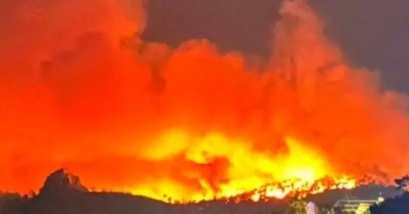 Туреччину охопили лісові пожежі: вогонь підбирається впритул до готелів (ВІДЕО)
