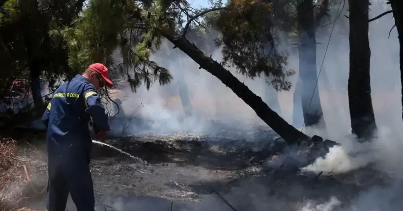 У Греції за добу виникло більше 50 лісових пожеж