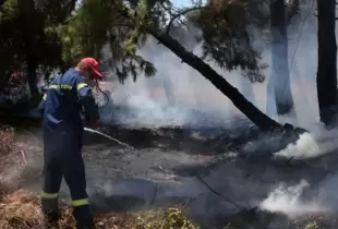 У Греції за добу виникло більше 50 лісових пожеж