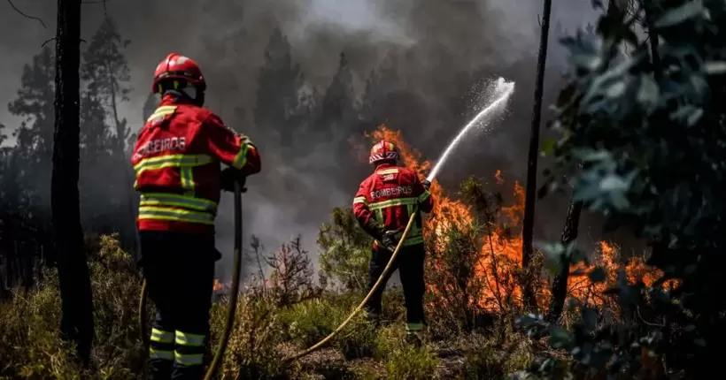 Португалію накрили лісові пожежі: постраждали дев’ять рятувальників 
