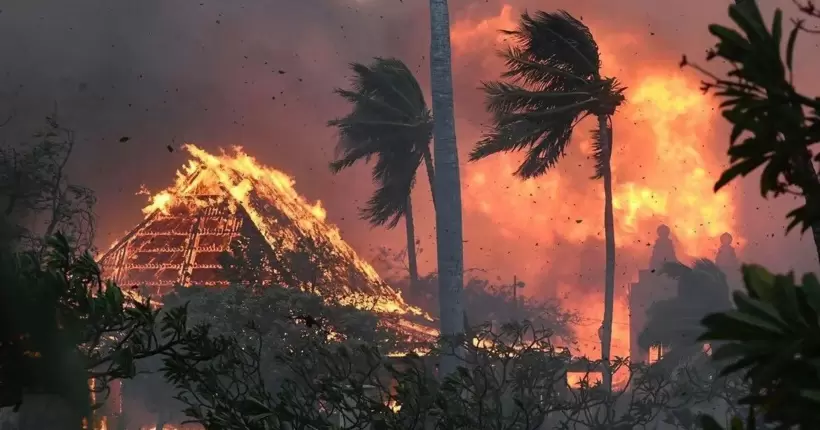 На Гаваях вирують масштабні лісові пожежі: загинули 55 людей, 1000 - зникли безвісти