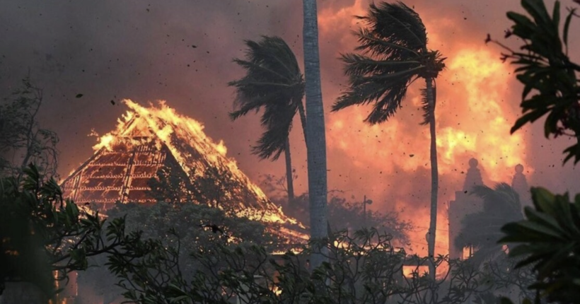 Лісові пожежі на Гаваях: кількість загиблих зросла до 67