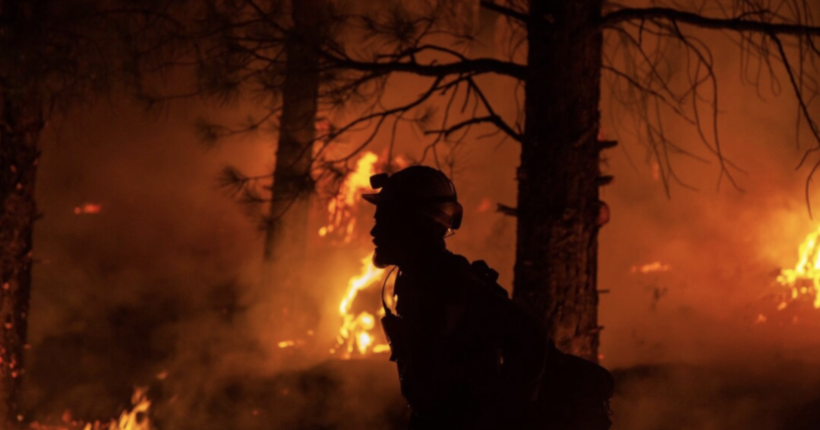 Лісові пожежі на Гаваях: вже відомо про майже сотню загиблих
