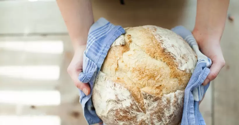 Україна завжди буде з хлібом: Пендзин оцінив ризик виникнення дефіциту продовольства в країні