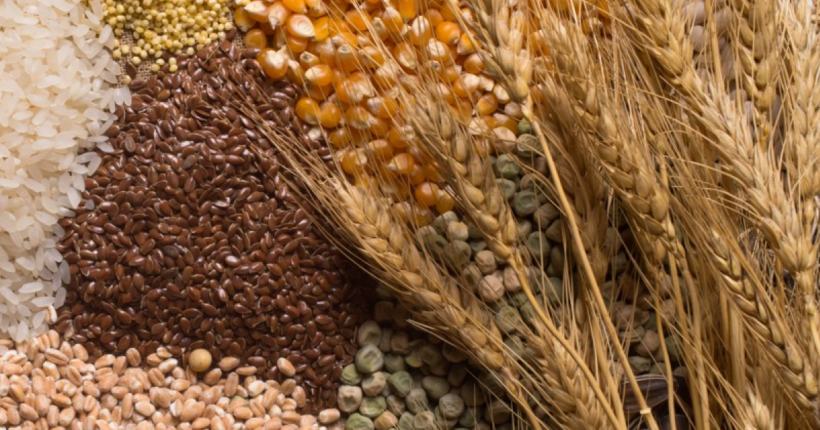 Пʼять країн ЄС виступають за заборону імпорту українського зерна
