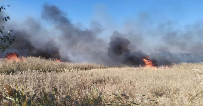 У захопленому росіянами заповіднику 