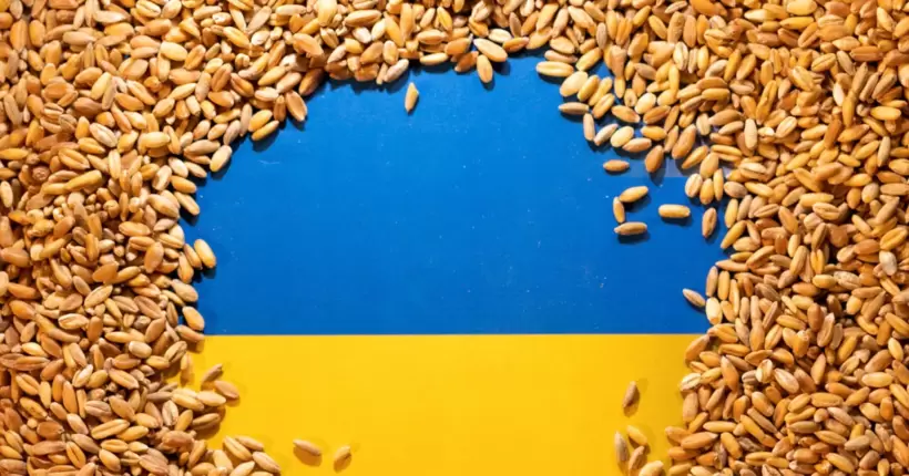 Польща готується продовжити заборону на імпорт українського зерна