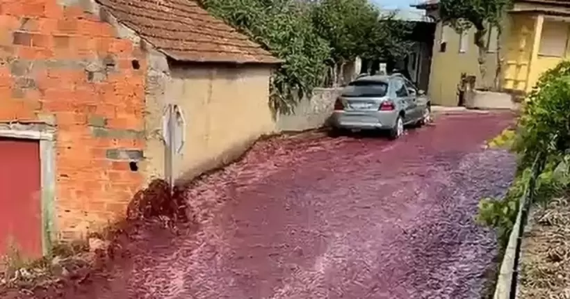У Португалії вулиці Сан-Лоренсу-ду-Байру затопило червоним вином після НС на заводі (відео)