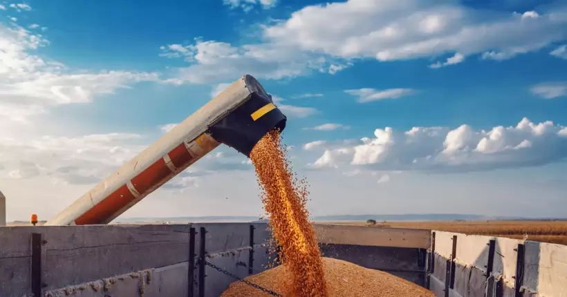 В уряді Німеччини привітали скасування ембарго на українське зерно