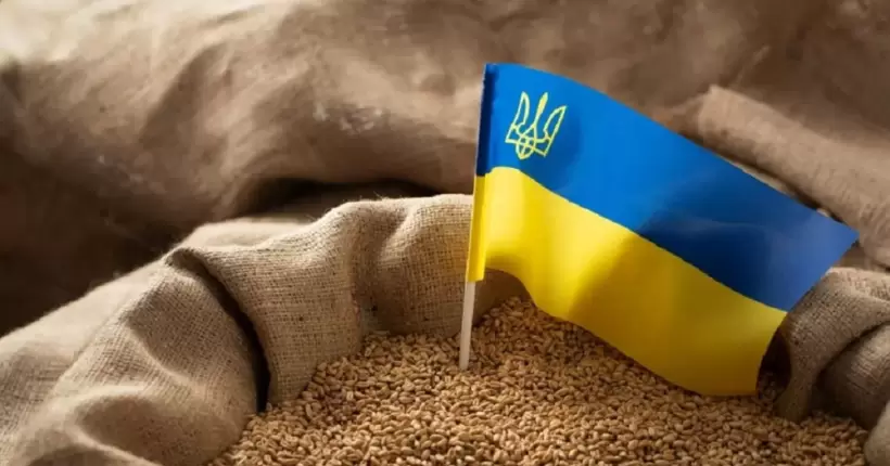 Позов України до СОТ: як вирішують такі справи та із чим можуть виникнути проблеми