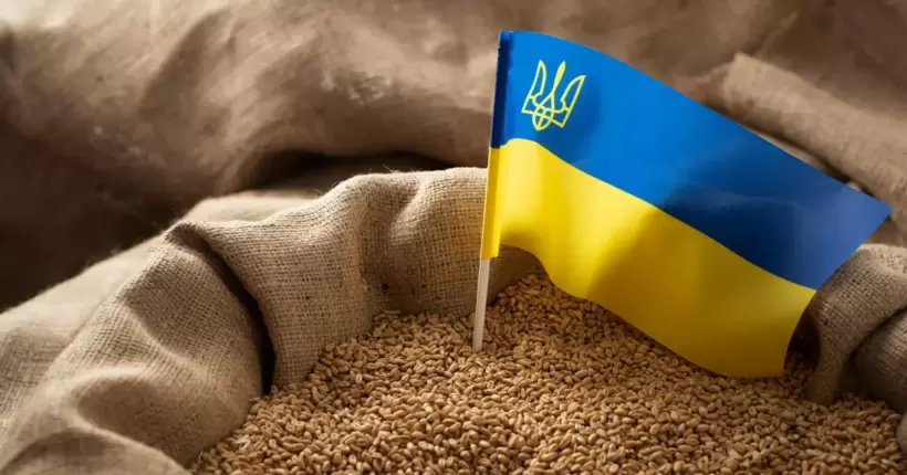 Словаччина погодилася зняти заборону на імпорт зерна з України