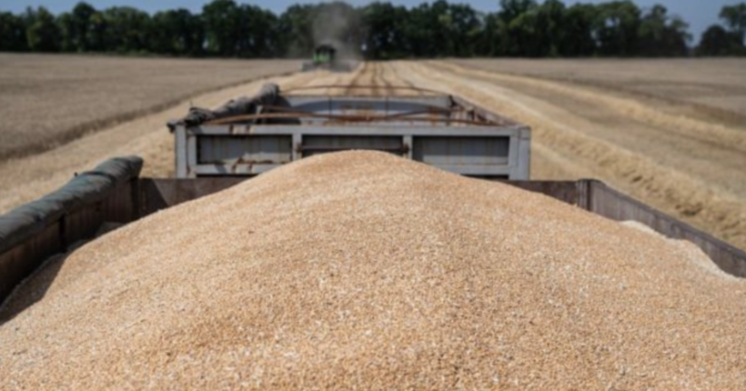 Україна найближчими днями почне обговорення з Польщею механізму щодо експорту зерна, - Качка