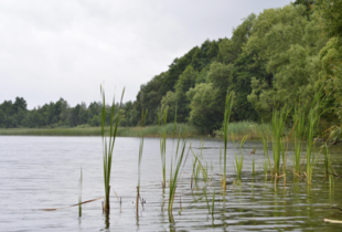 На Одещині у штучній водоймі потонули двоє дітей