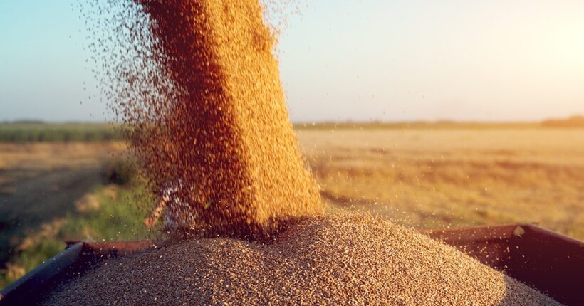 Доходи України від експорту зерна впали, однак потенціал їх відновити є, - експерт