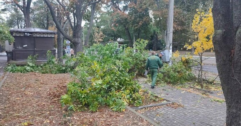 В Одесі через негоду та сильні пориви вітру стався деревопад
