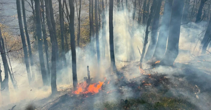 На території нацпарку на Буковині локалізували масштабну пожежу