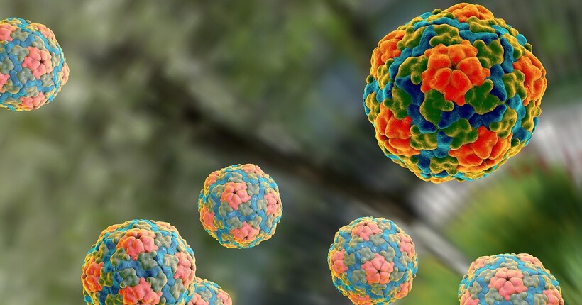 Спалах вірусного гепатиту А в Україні: які симптоми та як уберегтися від 