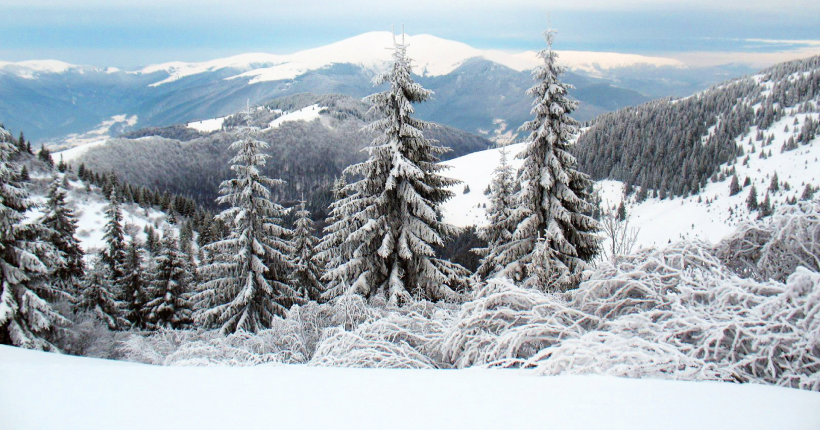 Туристам радять утриматися від походів у Карпати через сніголавинну небезпеку