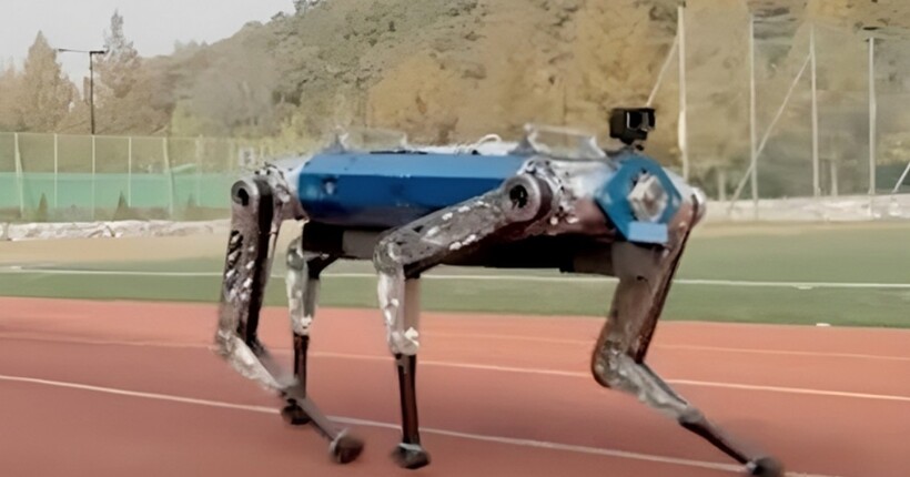 Робопес-рекордсмен: чотирилапий робот оновив світовий рекорд Гіннеса на дистанції 100 метрів (відео)