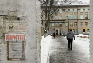 Це питання життя: київська влада відреагувала на недопуск дітей з собакою до укриття