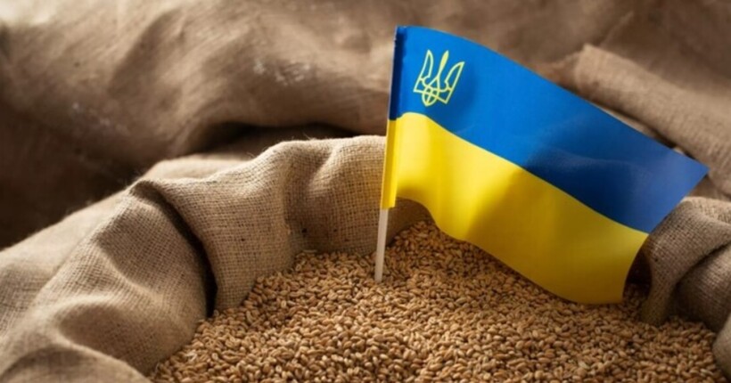 Закиди у тому, що Україна виробляє продовольство перш за все для ЄС є неправдою, - Мінагро