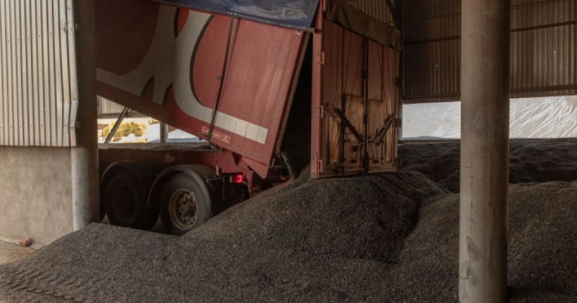 Україна за пів року експортувала понад 18 мільйонів тонн зернових та зернобобових